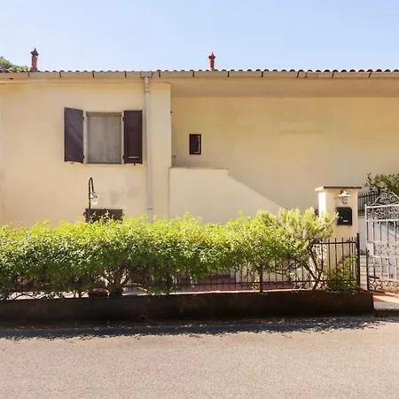 Cristina Daire